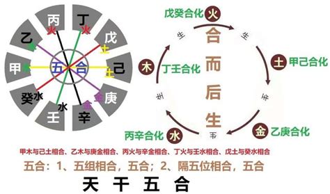 五行合|天干五合详解